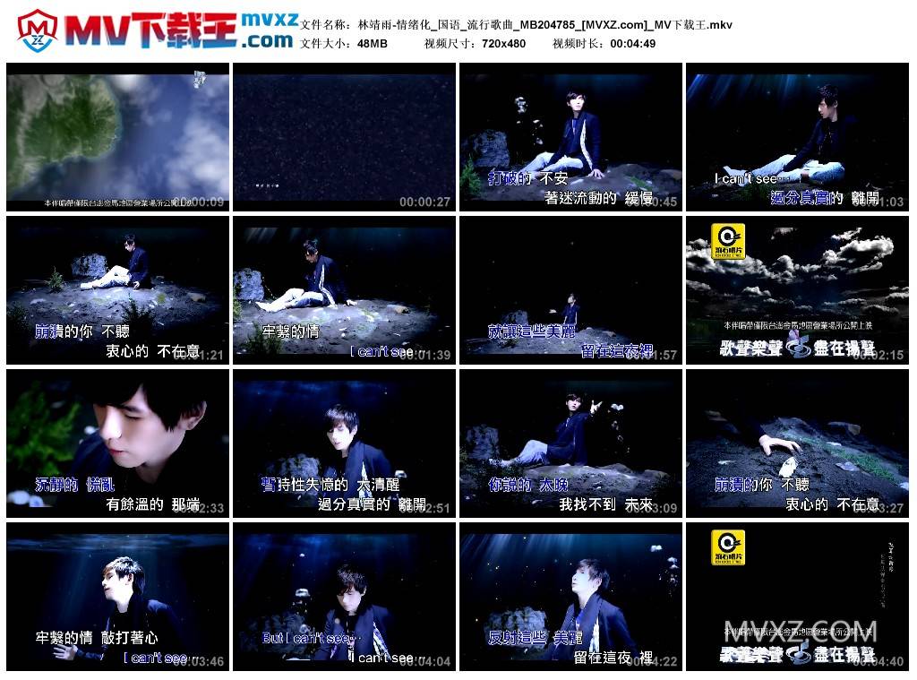 林靖雨-情绪化_国语_流行歌曲_MB204785